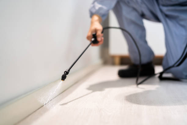 Licensed Pest Control service in Claiborne, LA - Show Me Pest Control