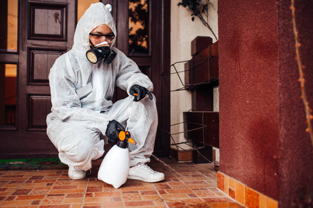 Reliable Ant Control contractor in Claiborne, LA by Show Me Pest Control